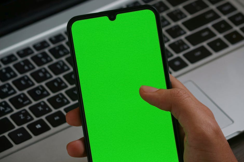 Курсы программирования и UI/UX дизайна